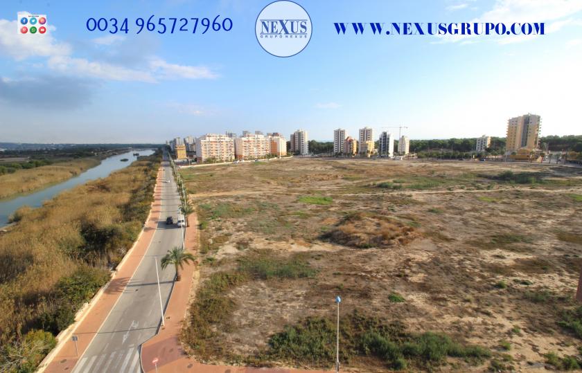 2 Slaapkamer Appartement in Guardamar del Segura - Verhuur in Nexus Grupo