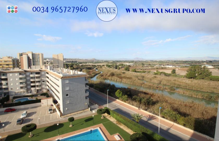 INMOBILIARIA, GRUPO NEXUS ALQUILA APARTAMENTO PARA TODO EL AÑO, CALLE JESÚS LUCAS MACIA in Nexus Grupo