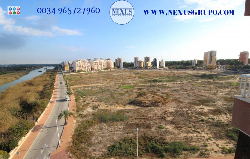 INMOBILIARIA, GRUPO NEXUS ALQUILA APARTAMENTO PARA TODO EL AÑO, CALLE JESÚS LUCAS MACIA in Nexus Grupo