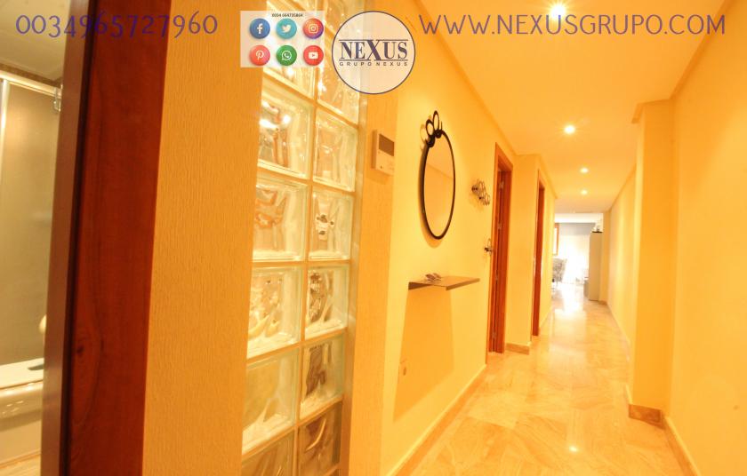 INMOBILIARIA, GRUPO NEXUS ALQUILA APARTAMENTO DE LUJO, EN CALLE SAN JOSÉ PARA TODO EL AÑO in Nexus Grupo