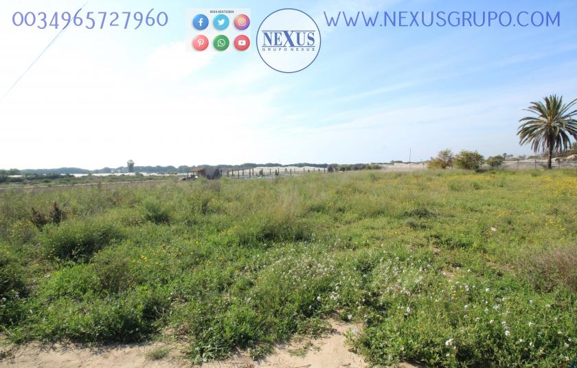 REAL ESTATE GROUP NEXUS SELLS RUSTIC LAND WITH HOUSE IN LA MARINA in Nexus Grupo