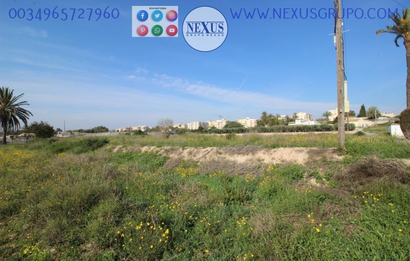 REAL ESTATE GROUP NEXUS SELLS RUSTIC LAND WITH HOUSE IN LA MARINA in Nexus Grupo