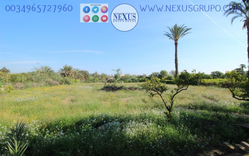 REAL ESTATE GROUP NEXUS SELLS RUSTIC LAND WITH HOUSE IN LA MARINA in Nexus Grupo