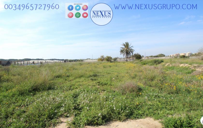 REAL ESTATE GROUP NEXUS SELLS RUSTIC LAND WITH HOUSE IN LA MARINA in Nexus Grupo