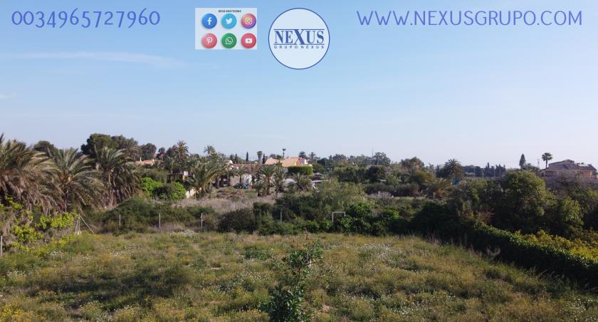 REAL ESTATE GROUP NEXUS SELLS RUSTIC LAND WITH HOUSE IN LA MARINA in Nexus Grupo