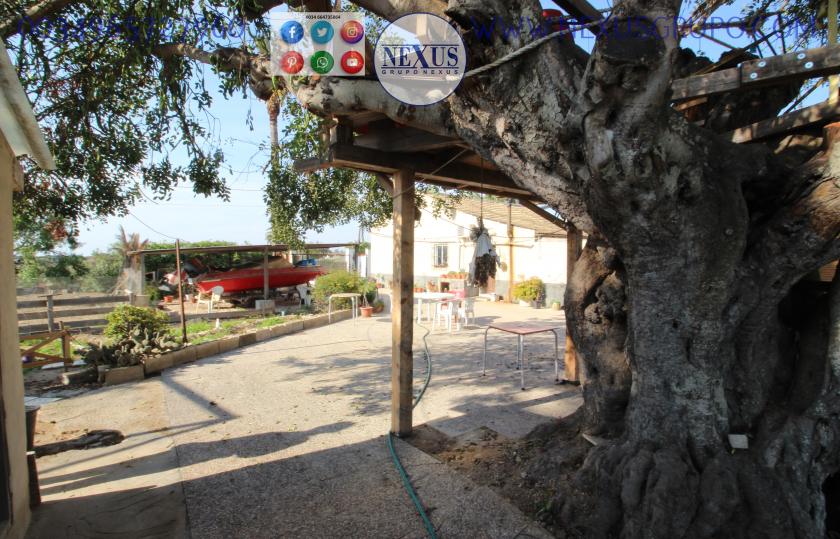 REAL ESTATE GROUP NEXUS SELLS RUSTIC LAND WITH HOUSE IN LA MARINA in Nexus Grupo