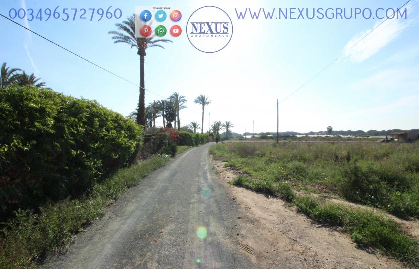 REAL ESTATE GROUP NEXUS SELLS RUSTIC LAND WITH HOUSE IN LA MARINA in Nexus Grupo