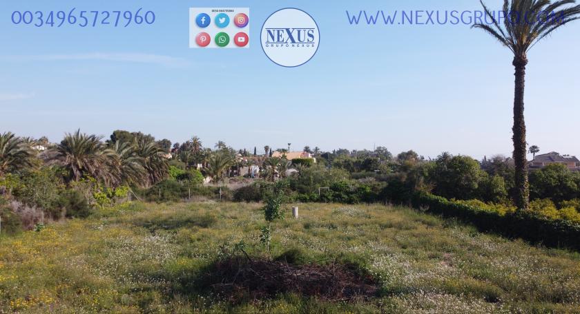 INMOBILIARIA GRUPO NEXUS VENDE TERRENO RÚSTICO CON CASA EN LA MARINA in Nexus Grupo