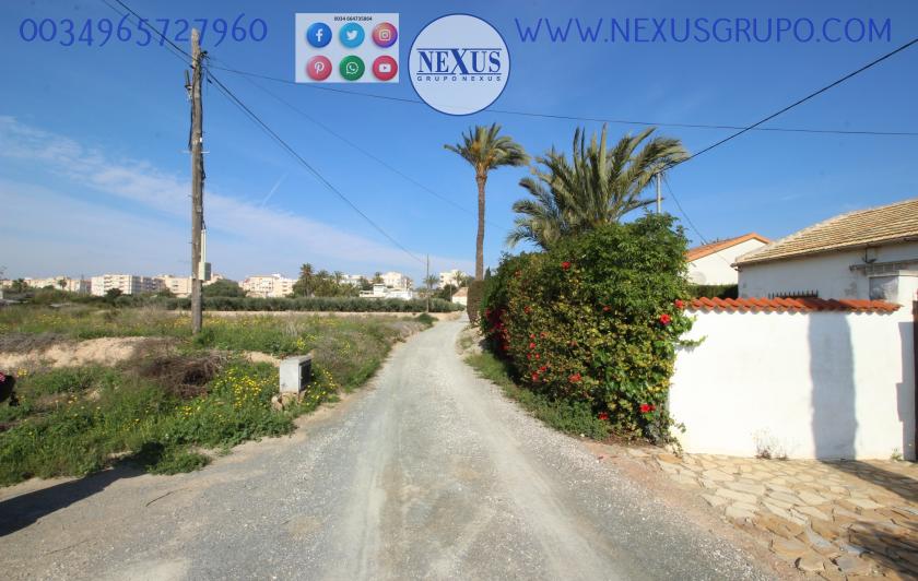 INMOBILIARIA GRUPO NEXUS VENDE TERRENO RÚSTICO CON CASA EN LA MARINA in Nexus Grupo