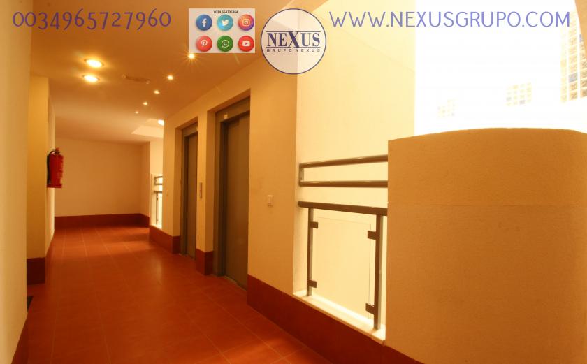 2 Slaapkamer Appartement in Guardamar del Segura - Verhuur in Nexus Grupo