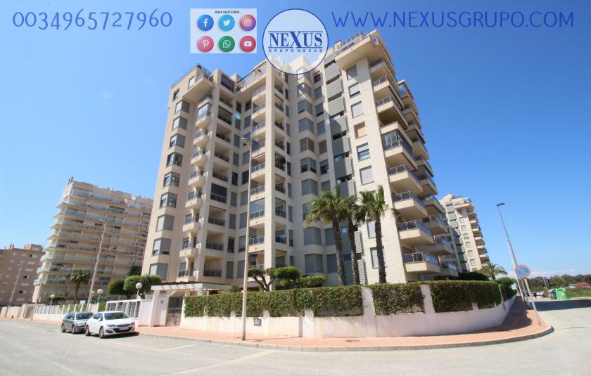 INMOBILIARIA, GRUPO NEXUS ALQUILA APARTAMENTO PARA TODO EL AÑO PUERTO MARINO in Nexus Grupo