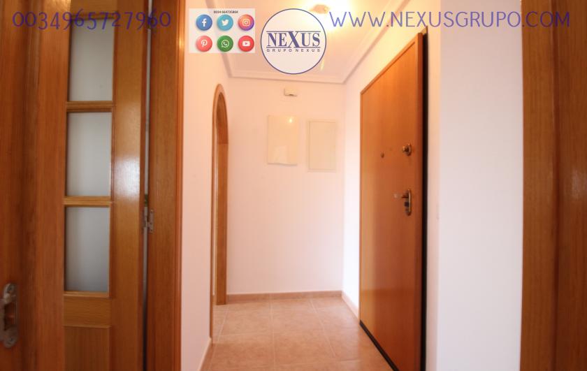 INMOBILIARIA, NEXUS GROUP RENT APARTMENT FOR THE WHOLE YEAR PUERTO MARINO in Nexus Grupo