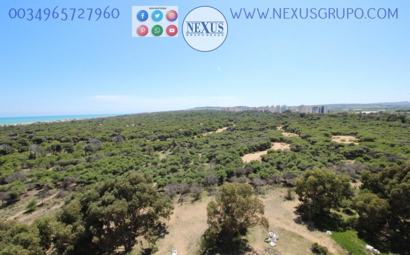 INMOBILIARIA, NEXUS GROUP RENT APARTMENT FOR THE WHOLE YEAR PUERTO MARINO in Nexus Grupo