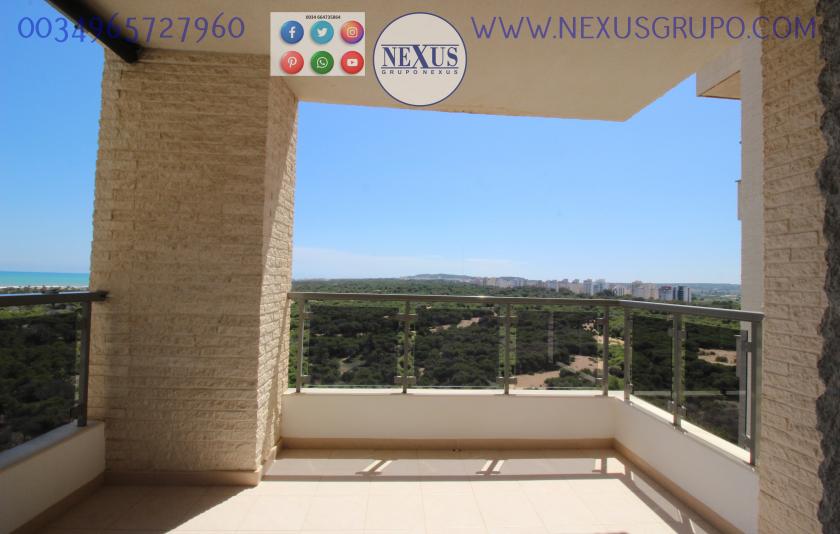 INMOBILIARIA, GRUPO NEXUS ALQUILA APARTAMENTO PARA TODO EL AÑO PUERTO MARINO in Nexus Grupo