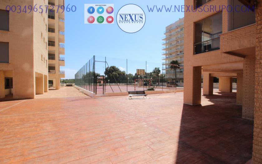 INMOBILIARIA, GRUPO NEXUS ALQUILA APARTAMENTO PARA TODO EL AÑO PUERTO MARINO in Nexus Grupo