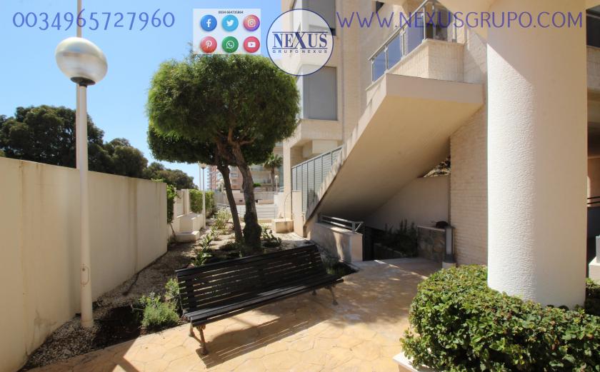 INMOBILIARIA, NEXUS GROUP RENT APARTMENT FOR THE WHOLE YEAR PUERTO MARINO in Nexus Grupo