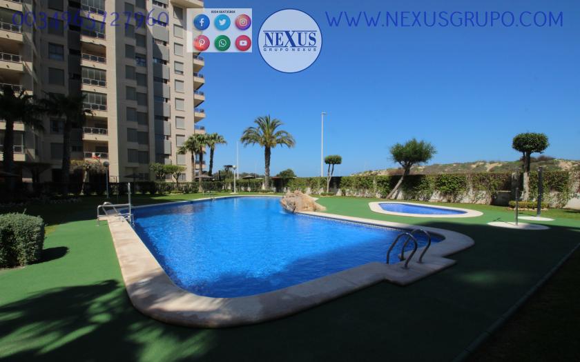 INMOBILIARIA, GRUPO NEXUS ALQUILA APARTAMENTO PARA TODO EL AÑO PUERTO MARINO in Nexus Grupo