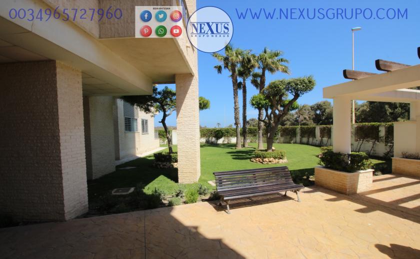 2 Slaapkamer Appartement in Guardamar del Segura - Verhuur in Nexus Grupo