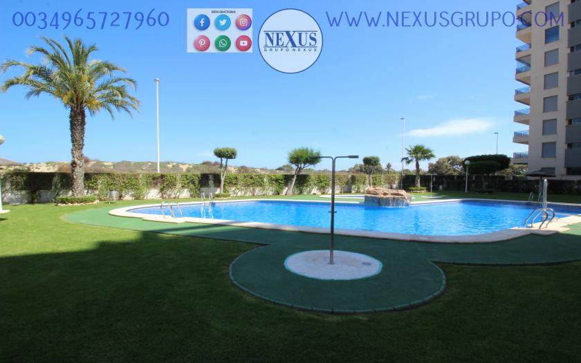 INMOBILIARIA, GRUPO NEXUS ALQUILA APARTAMENTO PARA TODO EL AÑO PUERTO MARINO in Nexus Grupo