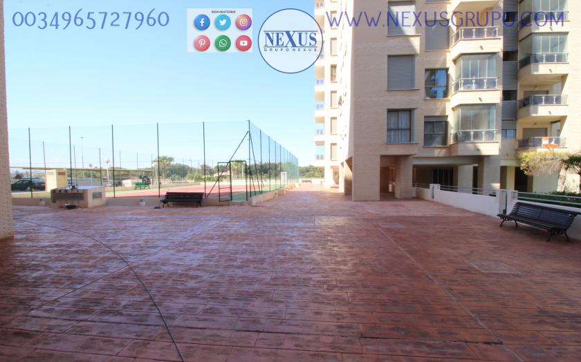 2 Slaapkamer Appartement in Guardamar del Segura - Verhuur in Nexus Grupo