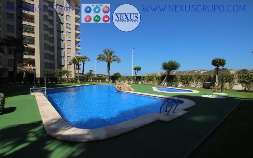 INMOBILIARIA, GRUPO NEXUS ALQUILA APARTAMENTO PARA TODO EL AÑO PUERTO MARINO in Nexus Grupo