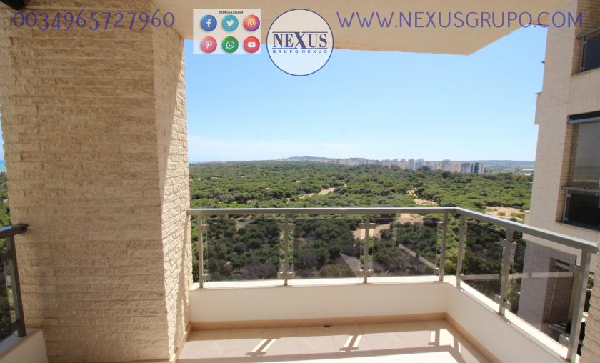 INMOBILIARIA, GRUPO NEXUS ALQUILA APARTAMENTO PARA TODO EL AÑO PUERTO MARINO in Nexus Grupo