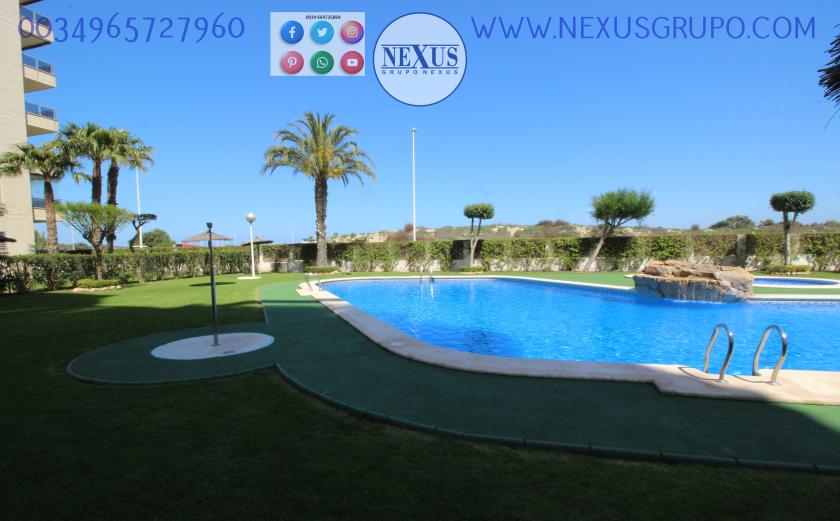 INMOBILIARIA, GRUPO NEXUS ALQUILA APARTAMENTO PARA TODO EL AÑO PUERTO MARINO in Nexus Grupo