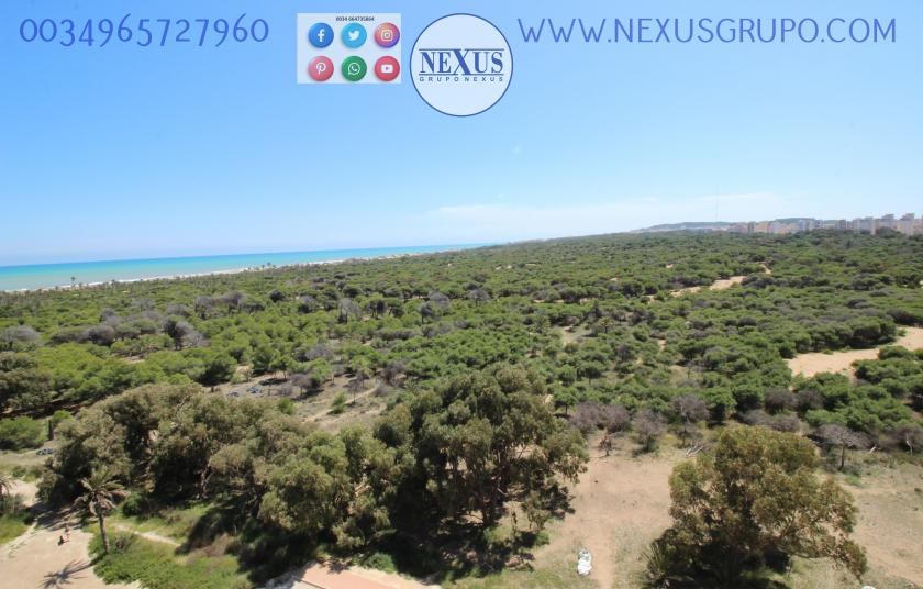 INMOBILIARIA, NEXUS GROUP RENT APARTMENT FOR THE WHOLE YEAR PUERTO MARINO in Nexus Grupo