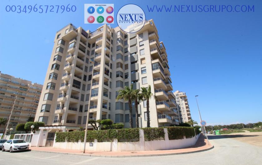 INMOBILIARIA, GRUPO NEXUS ALQUILA APARTAMENTO PARA TODO EL AÑO PUERTO MARINO in Nexus Grupo