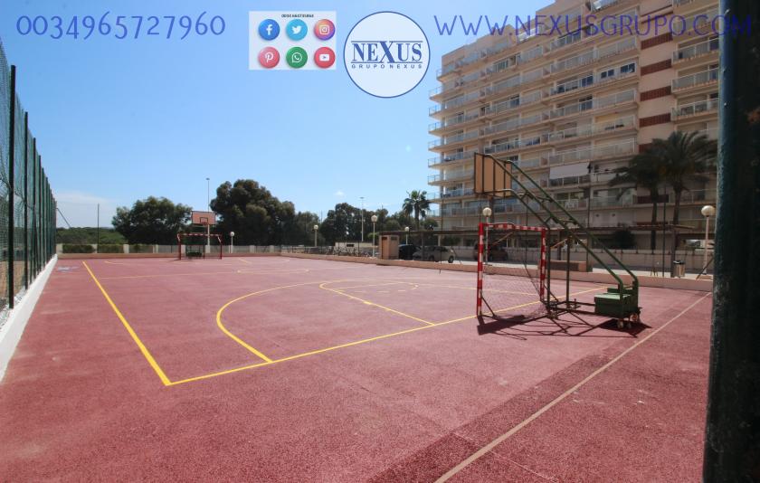 2 Slaapkamer Appartement in Guardamar del Segura - Verhuur in Nexus Grupo