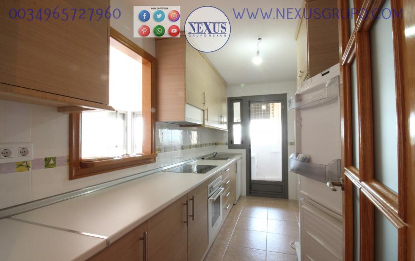 INMOBILIARIA, NEXUS GROUP RENT APARTMENT FOR THE WHOLE YEAR PUERTO MARINO in Nexus Grupo