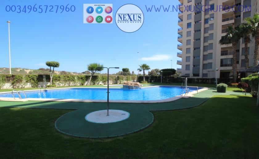 INMOBILIARIA, GRUPO NEXUS ALQUILA APARTAMENTO PARA TODO EL AÑO PUERTO MARINO in Nexus Grupo