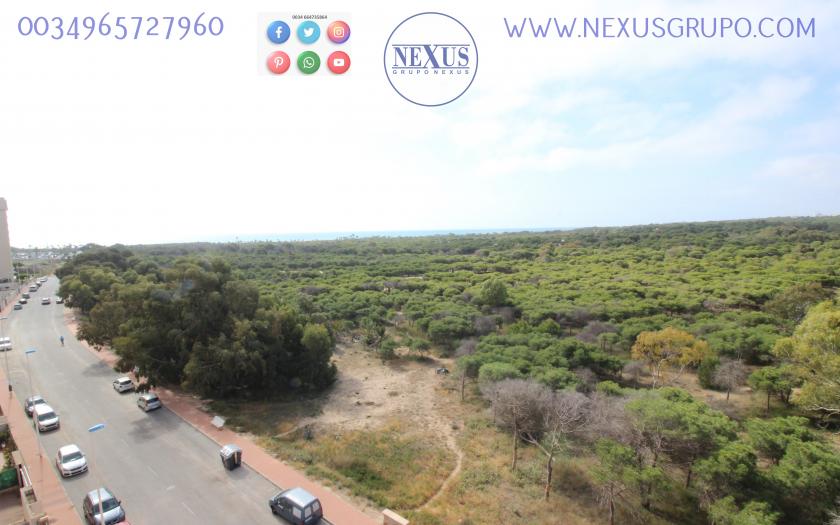 INMOBILIARIA GRUPO NEXUS VENDE APARTAMENTO EN CALLE MÉDICO BASILIO PAREDES in Nexus Grupo