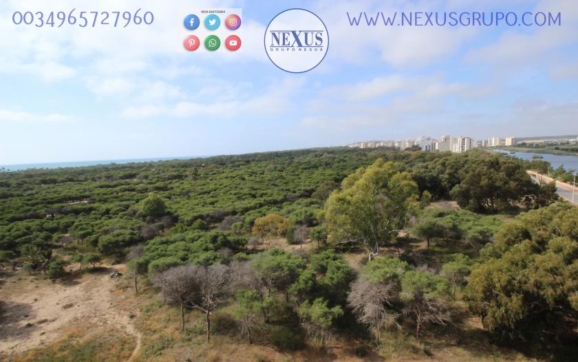 INMOBILIARIA GRUPO NEXUS SELLS APARTMENT IN MÉDICO BASILIO PAREDES in Nexus Grupo