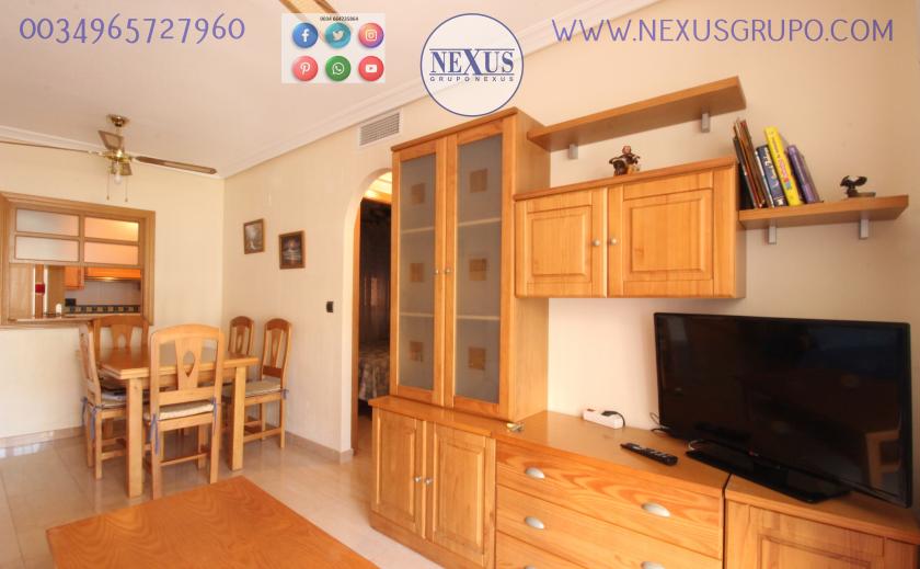 INMOBILIARIA GRUPO NEXUS, RENT A FLOOR FOR THE WHOLE YEAR TOGETHER REINA SOFÍA PARK in Nexus Grupo