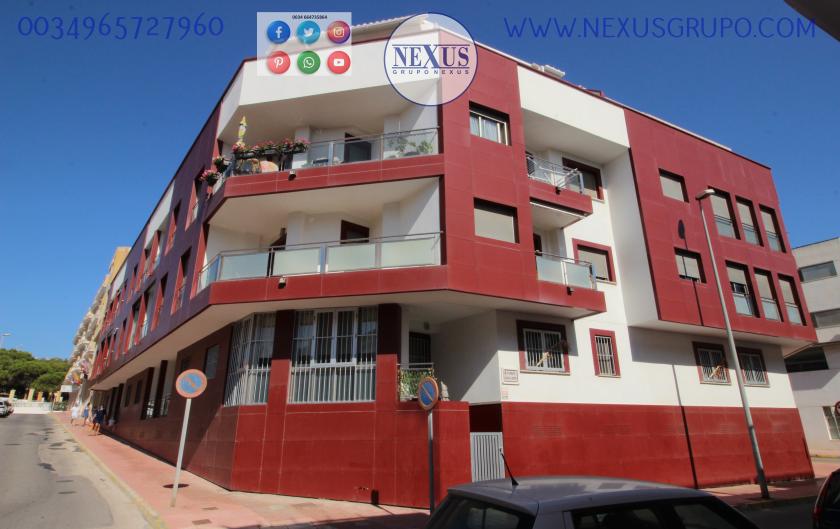 INMOBILIARIA GRUPO NEXUS, ALQUILA PISO PARA TODO EL AÑO JUNTO PARQUE REINA SOFÍA in Nexus Grupo