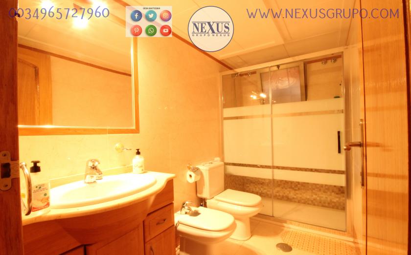 INMOBILIARIA GRUPO NEXUS, RENT A FLOOR FOR THE WHOLE YEAR TOGETHER REINA SOFÍA PARK in Nexus Grupo