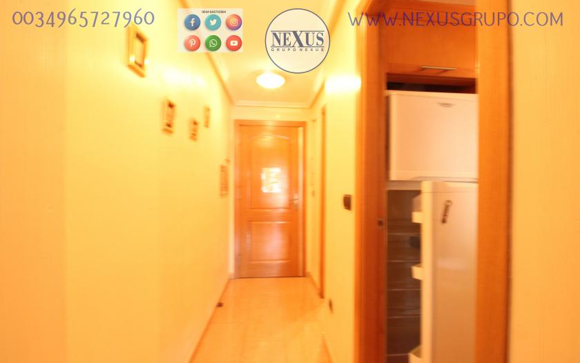 INMOBILIARIA GRUPO NEXUS, RENT A FLOOR FOR THE WHOLE YEAR TOGETHER REINA SOFÍA PARK in Nexus Grupo