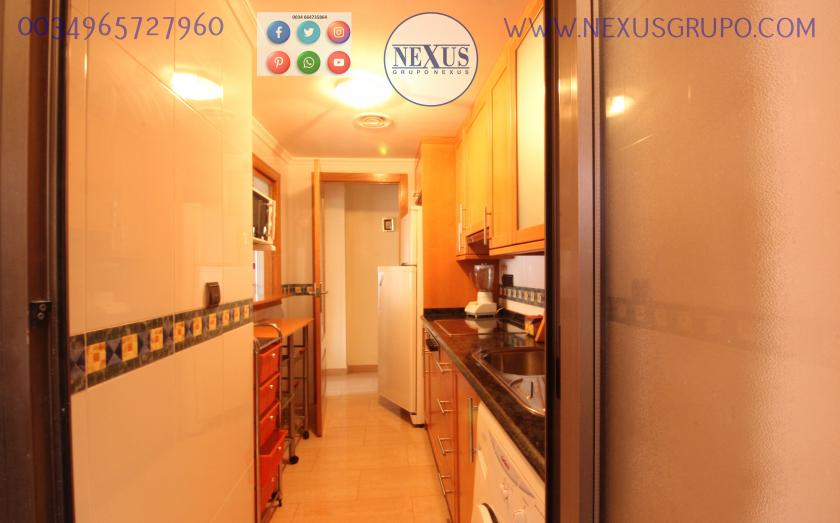 INMOBILIARIA GRUPO NEXUS, RENT A FLOOR FOR THE WHOLE YEAR TOGETHER REINA SOFÍA PARK in Nexus Grupo