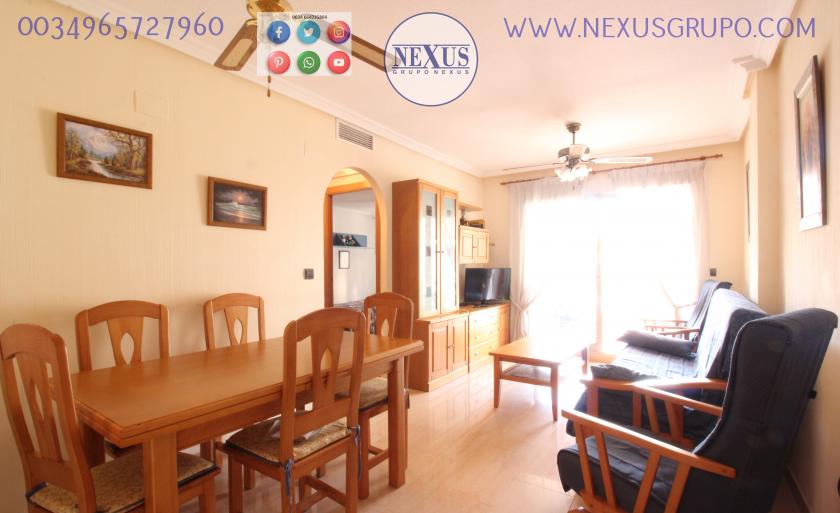 INMOBILIARIA GRUPO NEXUS, RENT A FLOOR FOR THE WHOLE YEAR TOGETHER REINA SOFÍA PARK in Nexus Grupo