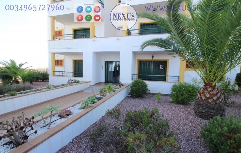 APARTMENT FOR RENT ALL YEAR ROUND IN DEHESA DE CAMPOAMOR in Nexus Grupo