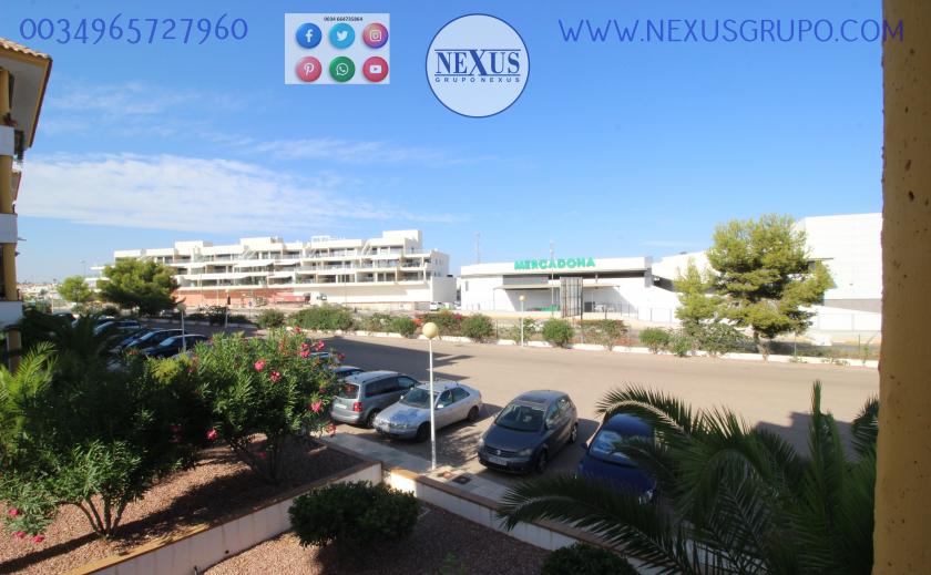 APARTMENT FOR RENT ALL YEAR ROUND IN DEHESA DE CAMPOAMOR in Nexus Grupo