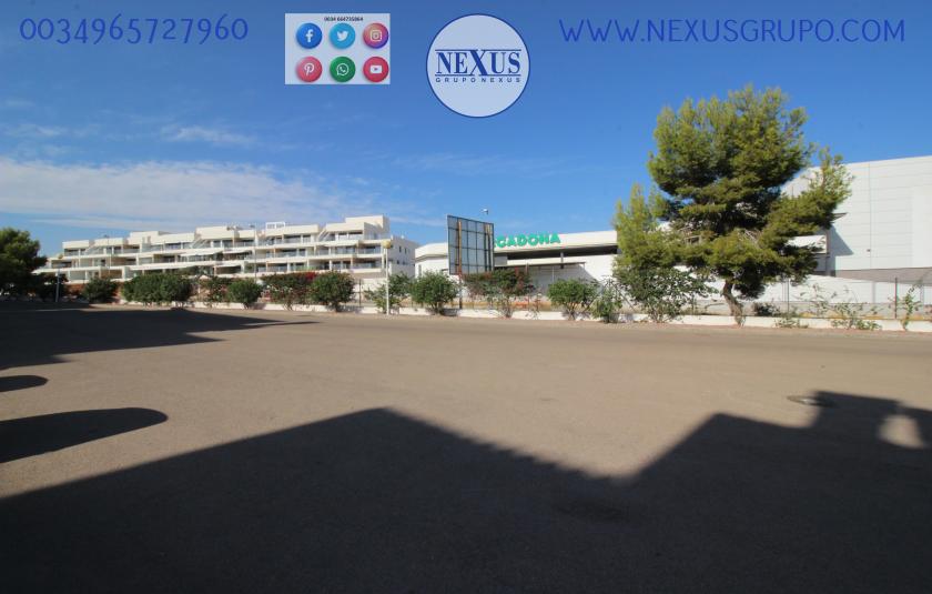 APPARTEMENT TE HUUR HET HELE JAAR DOOR IN DEHESA DE CAMPOAMOR in Nexus Grupo