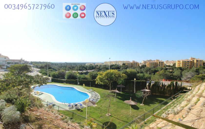 APARTMENT FOR RENT ALL YEAR ROUND IN DEHESA DE CAMPOAMOR in Nexus Grupo