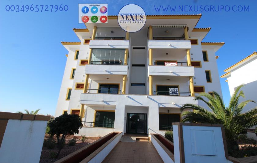 APARTMENT FOR RENT ALL YEAR ROUND IN DEHESA DE CAMPOAMOR in Nexus Grupo