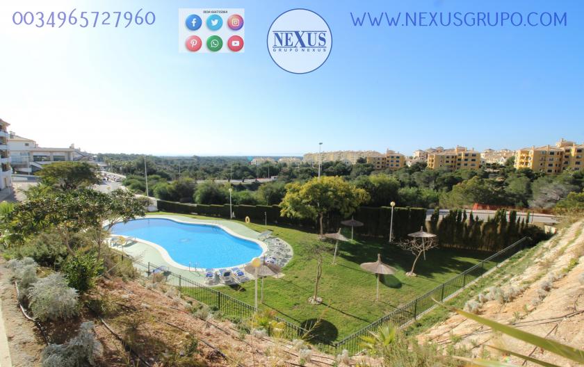 APARTMENT FOR RENT ALL YEAR ROUND IN DEHESA DE CAMPOAMOR in Nexus Grupo