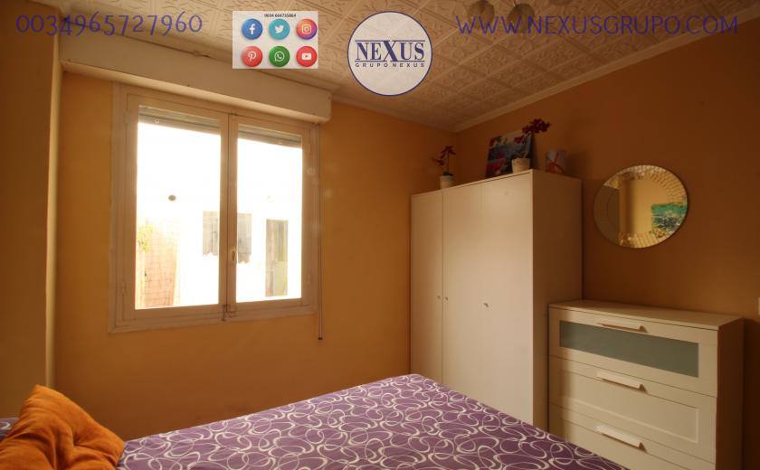 REAL ESTATE, NEXUS GROUP, RENT A GROUND FLOOR APARTMENT FOR THE WHOLE YEAR, ALICANTE STREET in Nexus Grupo