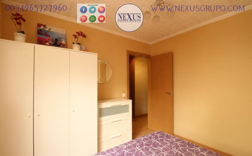 REAL ESTATE, NEXUS GROUP, RENT A GROUND FLOOR APARTMENT FOR THE WHOLE YEAR, ALICANTE STREET in Nexus Grupo