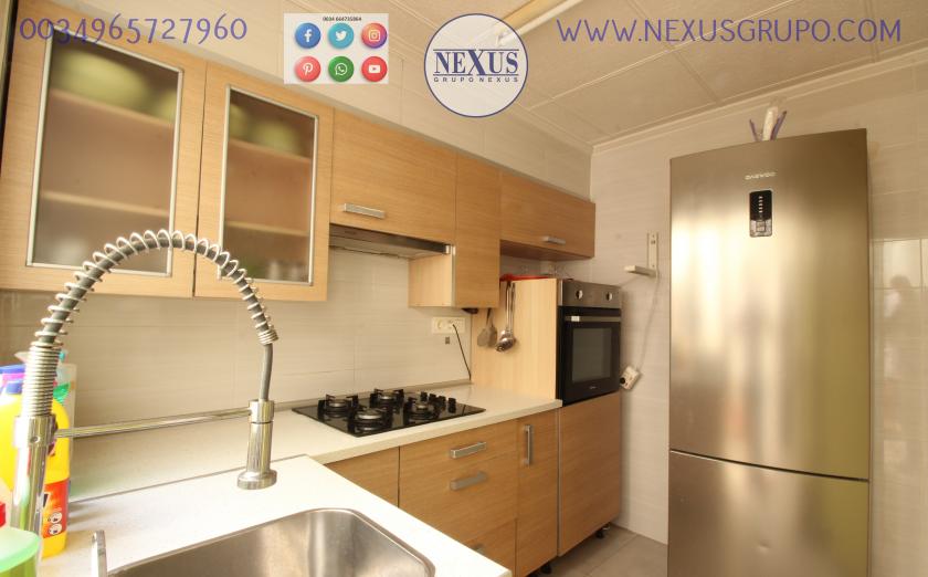 REAL ESTATE, NEXUS GROUP, RENT A GROUND FLOOR APARTMENT FOR THE WHOLE YEAR, ALICANTE STREET in Nexus Grupo