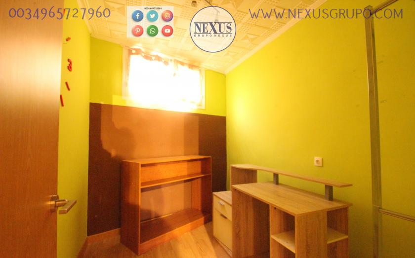 REAL ESTATE, NEXUS GROUP, RENT A GROUND FLOOR APARTMENT FOR THE WHOLE YEAR, ALICANTE STREET in Nexus Grupo